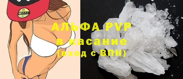 крисы Надым
