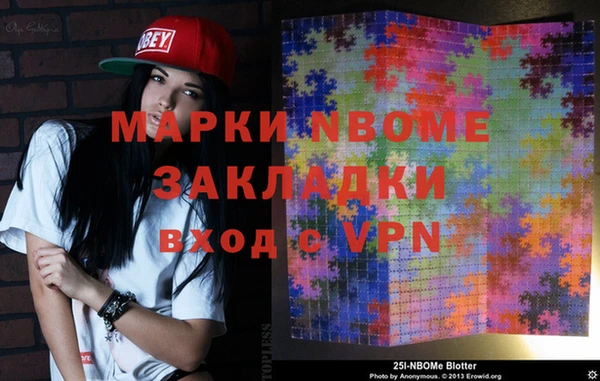 крисы Надым