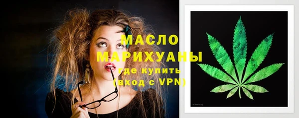 крисы Надым