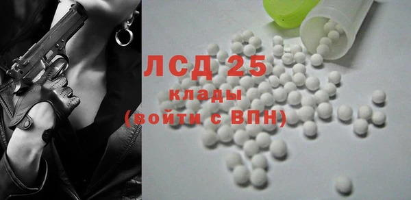 крисы Надым