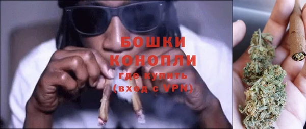 шишки Абаза