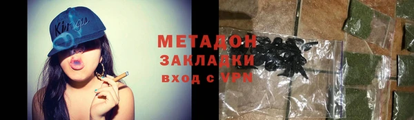 шишки Абаза