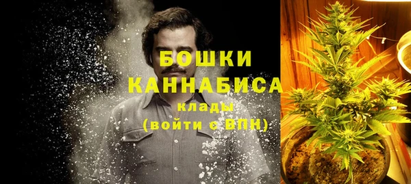 крисы Надым