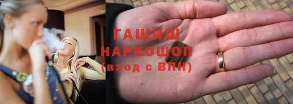 крисы Надым