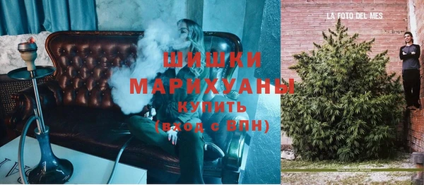 крисы Надым