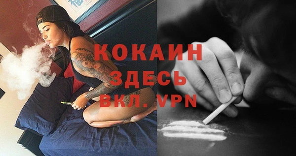 крисы Надым