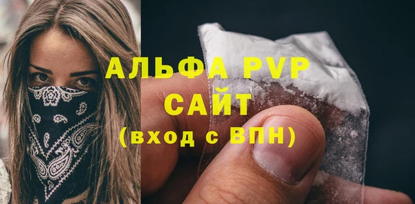 крисы Надым