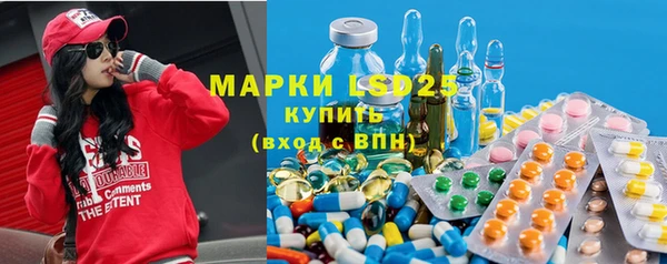 шишки Абаза