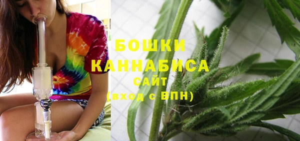 крисы Надым